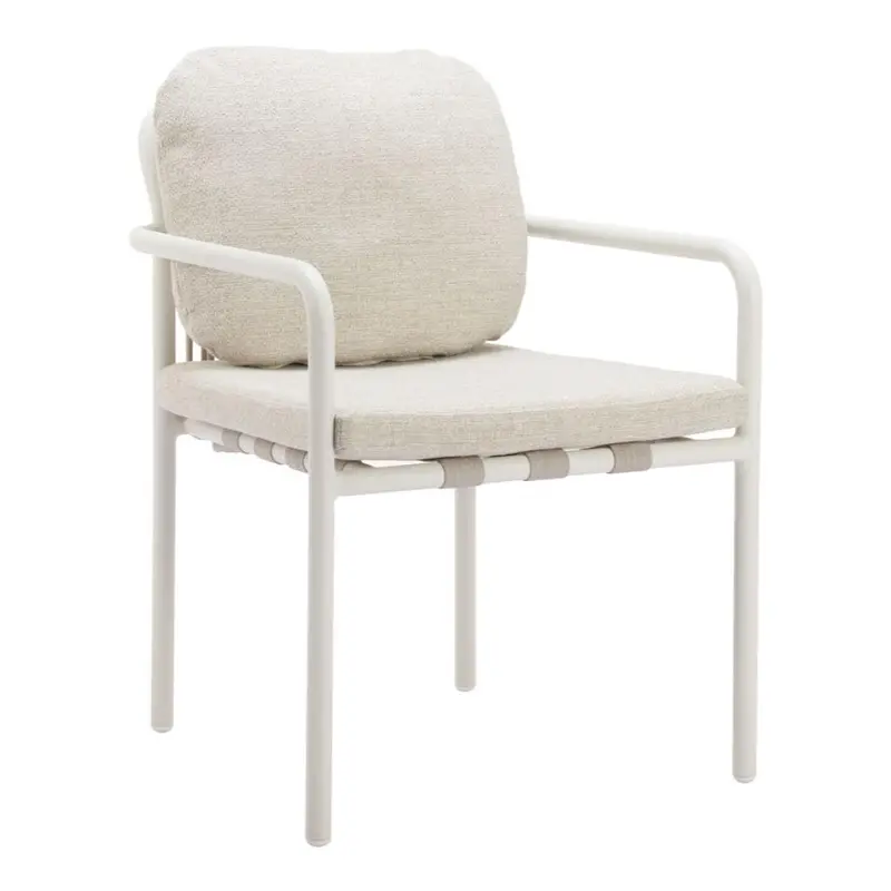 Aite Dining Chairs (Set Of 2) – Olefin-Upholstered Indoor/Outdoor Seating 1