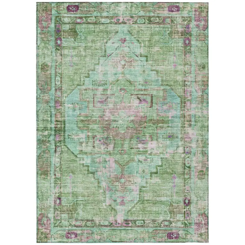 Aloe Green Washable Indoor/Outdoor Area Rug By Haelien 1