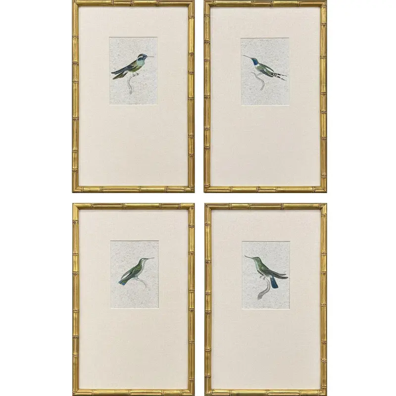 Antique Hummingbird Illustration Wall Art Set (4 Pieces) 1