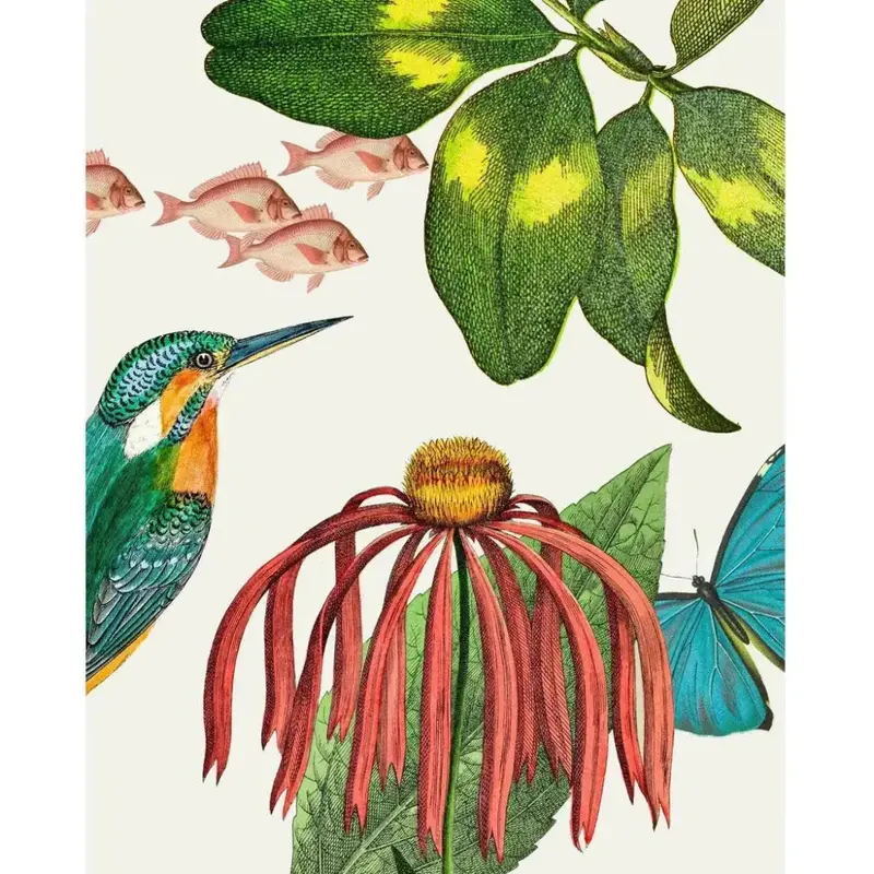 Artistry Of Nature V Organic Floating Canvas Art 1