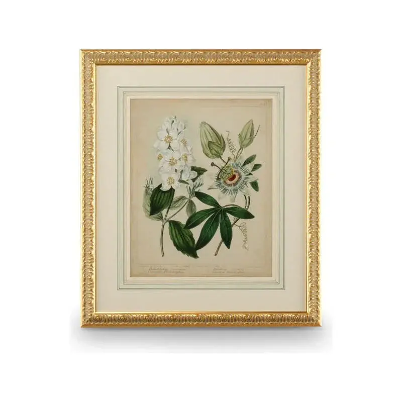 Cottage Garden Florals Ii In Wood Frame 1