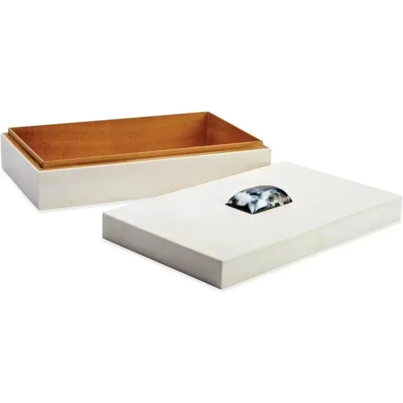 Cream Resin Rectangular Box With Horn-Inspired Accents 1