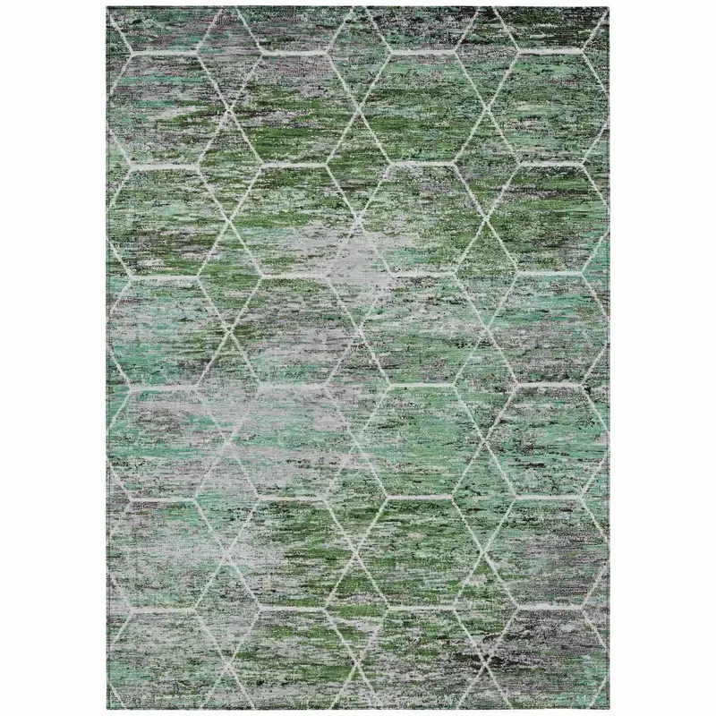Galyn Green Indoor-Outdoor Area Rug – Nature-Inspired & Pet-Hair Resistant 1