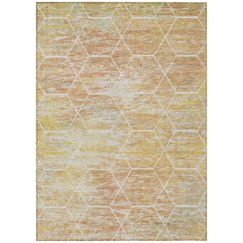 Galyn Orange Indoor-Outdoor Area Rug – Bold Accent & All-Weather Performance 1