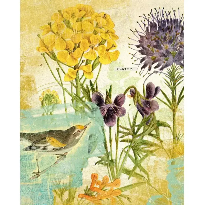 Garden Bird Series: Second Avian Floating Canvas Print 1
