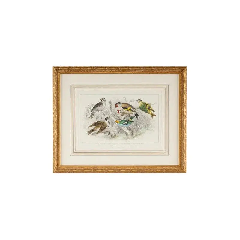 Goldfinch, Bunting & Wren Avian Print In Gold Leaf Frame 1