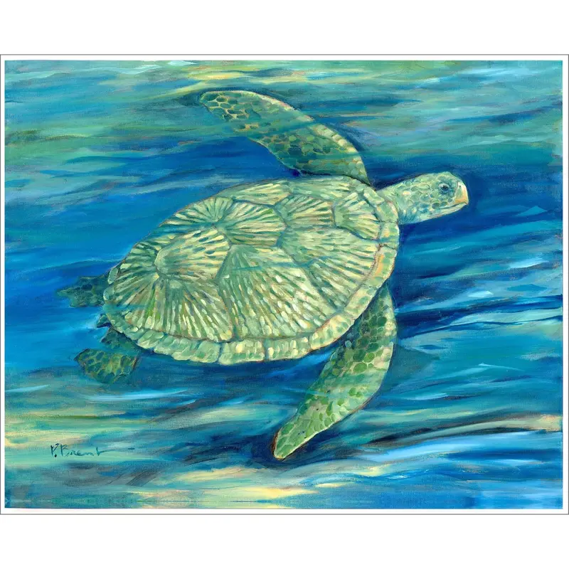 Green Sea Turtle Canvas Art – Coastal Lagoon Inspired Print 1
