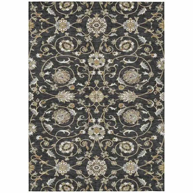 Irene Black Indoor-Outdoor Area Rug – Stain-Resistant Washable Mat 2
