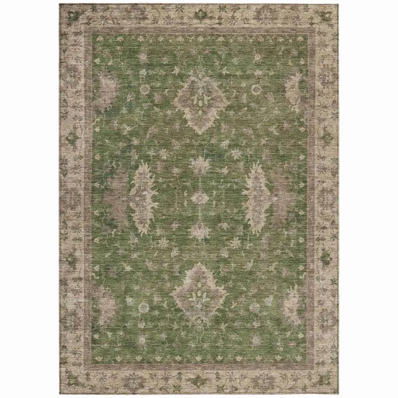Iriaris Jade Green Indoor-Outdoor Area Rug – Nature-Inspired & Stain-Repellent 1