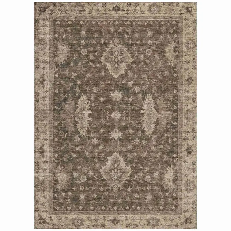 Iriaris Walnut Brown Indoor-Outdoor Area Rug – Earthy Depth & Indoor-Outdoor Style 1