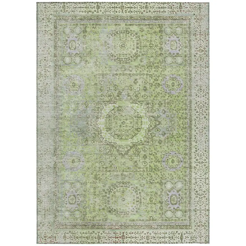 Irias Aloe Mint Indoor-Outdoor Area Rug – Calming Hue & Hypoallergenic Fabric 1