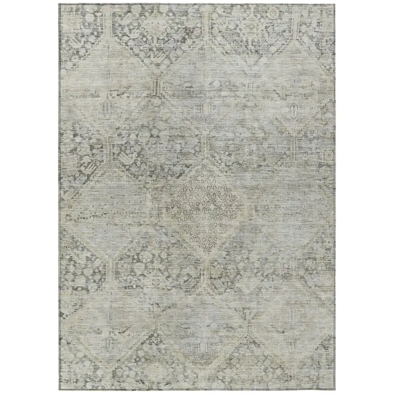 Iriius Storm Gray Indoor-Outdoor Area Rug – Urban Chic & All-Weather Reliable 1
