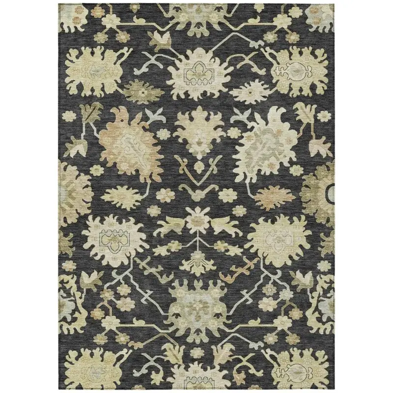 Louis Black Indoor-Outdoor Area Rug – Machine Washable Floor Mat 2
