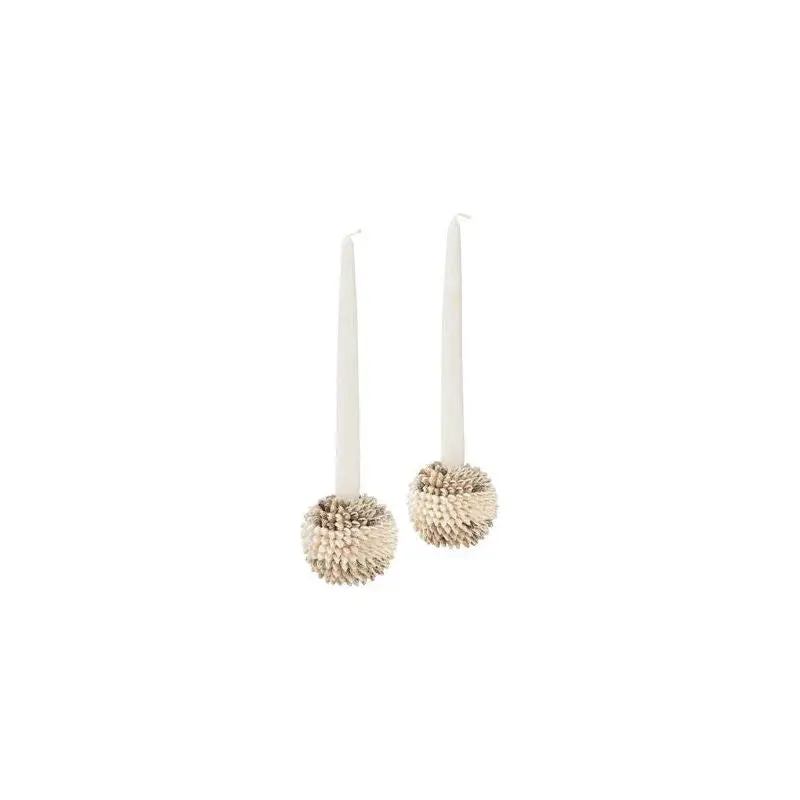 Nassa Shell Candle Holders – Coastal Set Of 2 1