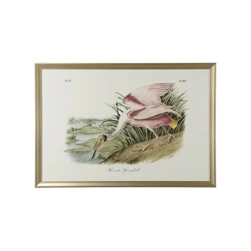 Roseate Spoonbill Wildlife Art In Gold Frame 1