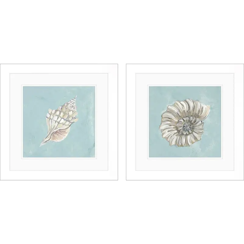 Seashell Collection Wall Art – Two-Piece Glass-Front Display 1
