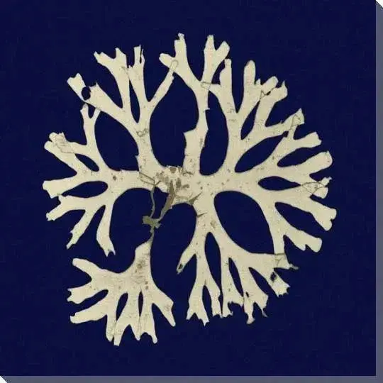 Seaweed-Inspired Coastal Canvas Art In Square Format 1