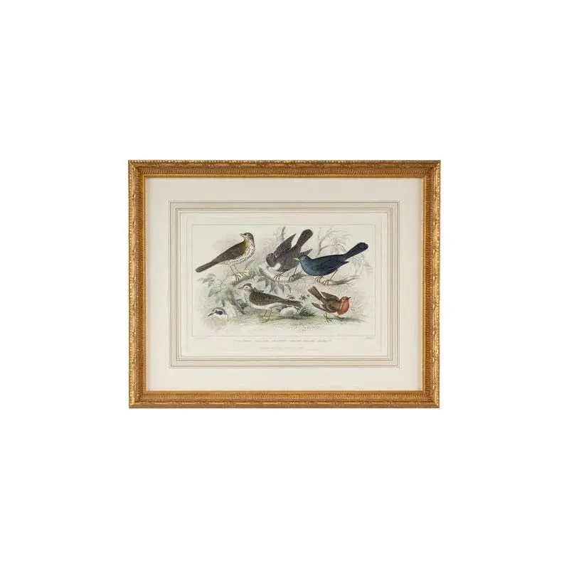 Skylark, Song Thrush & Robin Bird Art In Gold Leaf Frame 1