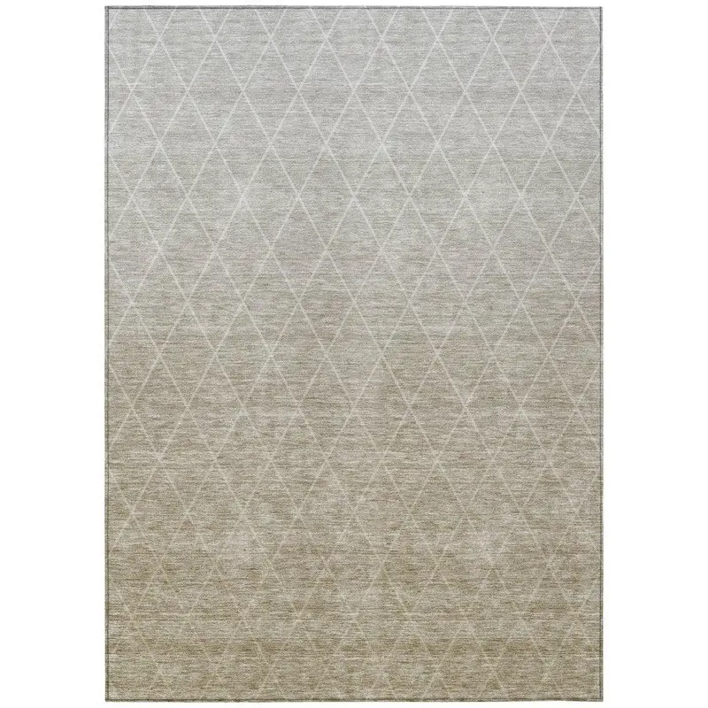 Soleya Brown Durable All-Weather Area Rug 2