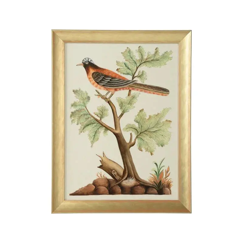 Watercolor Bird Illustration Framed In Gold Wood 6