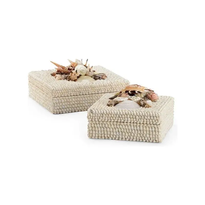 White Natural Shell Gift Box Set (2-Pack) 1