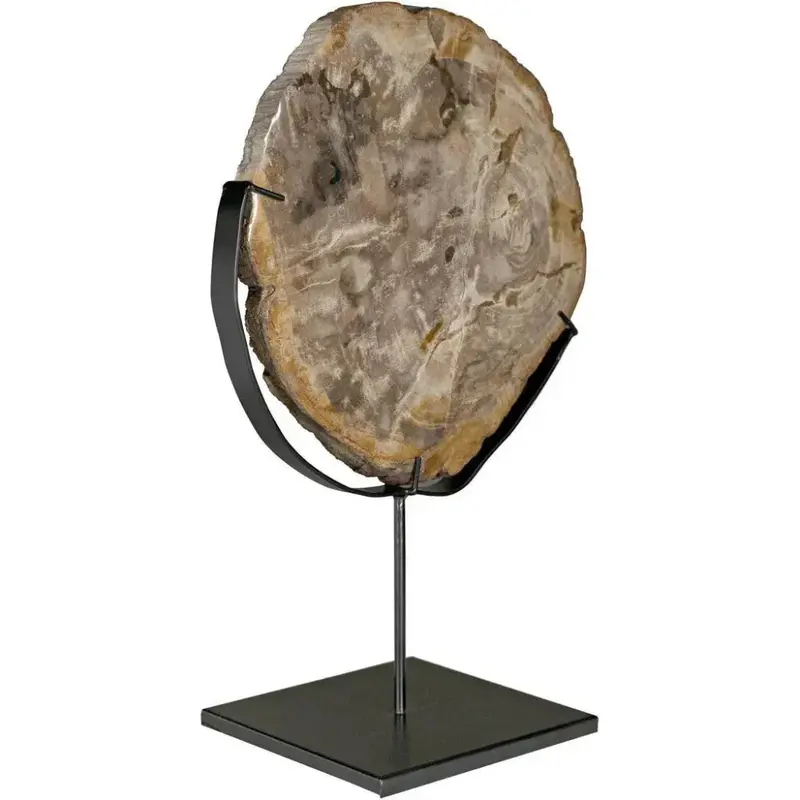 Wood Fossil Art Piece With Display Stand 1